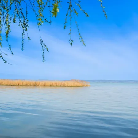 Appartement Petofi 21 *